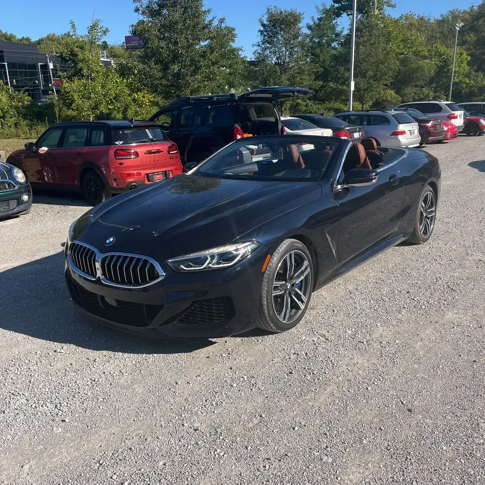 2019 BMW 8-Series