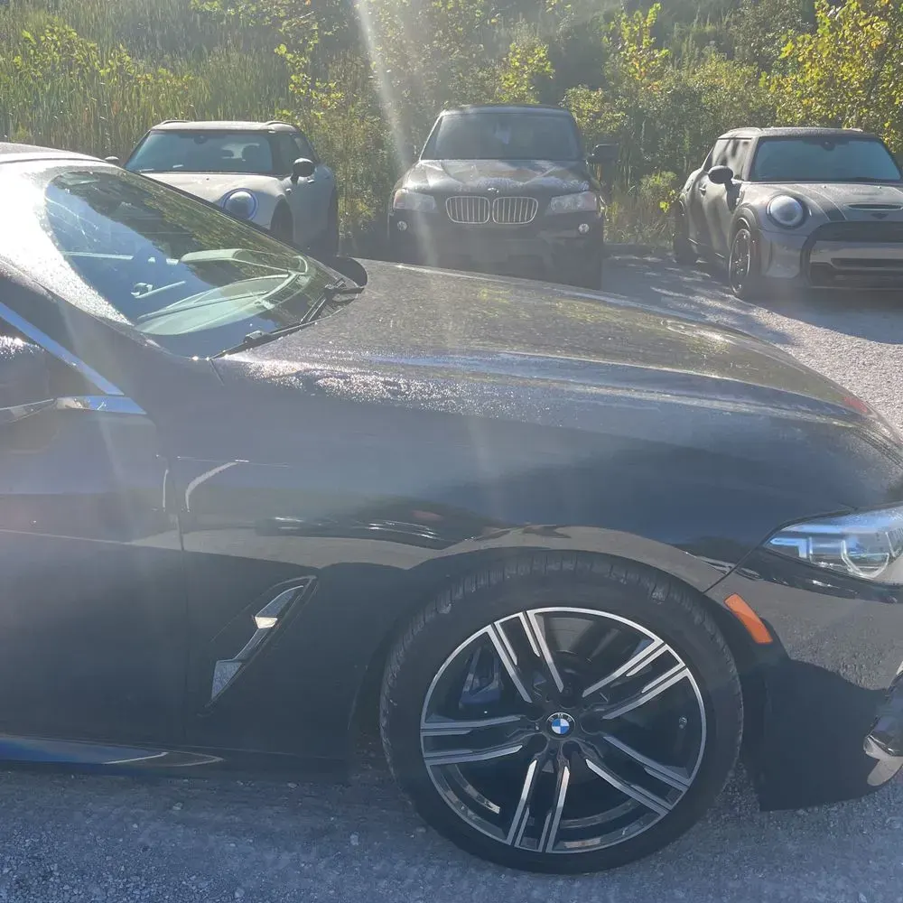 2019 BMW 8-Series M850xi