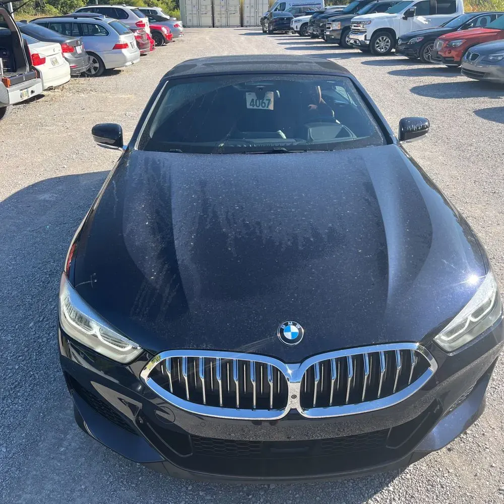 2019 BMW 8-Series M850xi