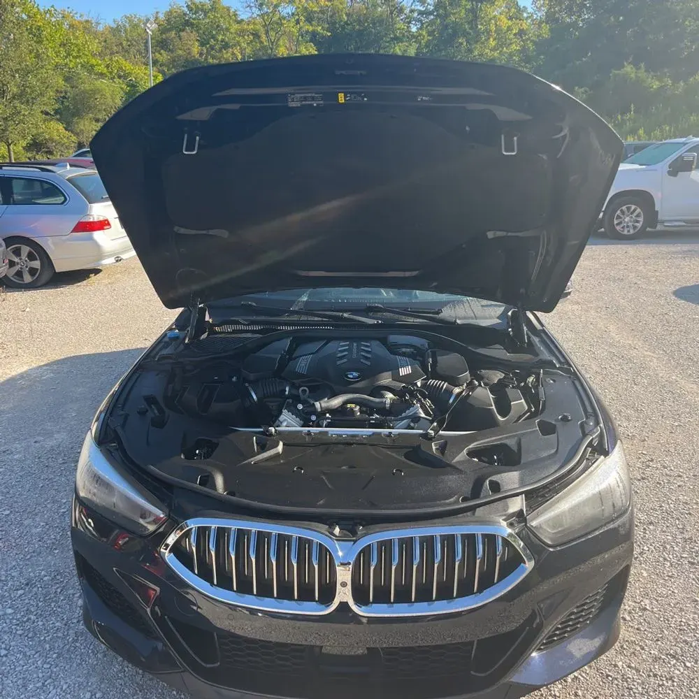 2019 BMW 8-Series M850xi