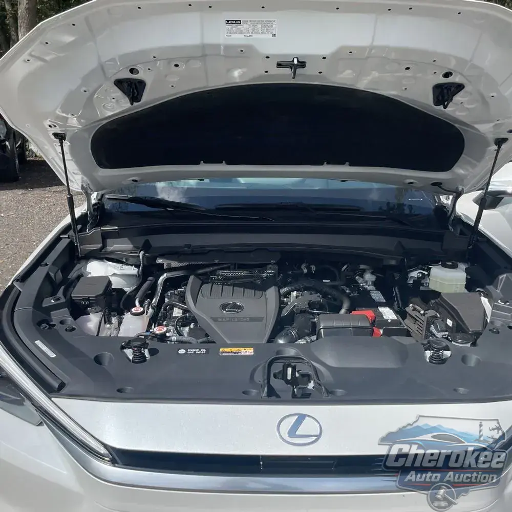 2025 Lexus TX 350 Premium
