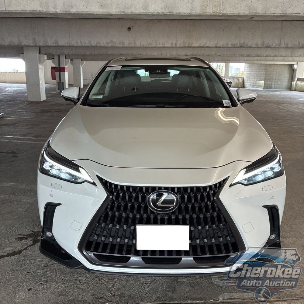 2024 Lexus NX 450h+ Base