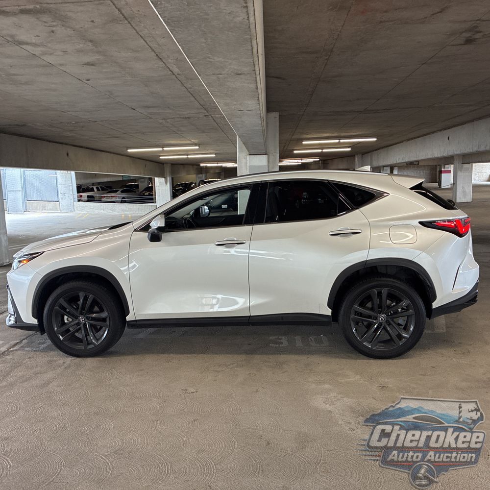 2024 Lexus NX 450h+ Base