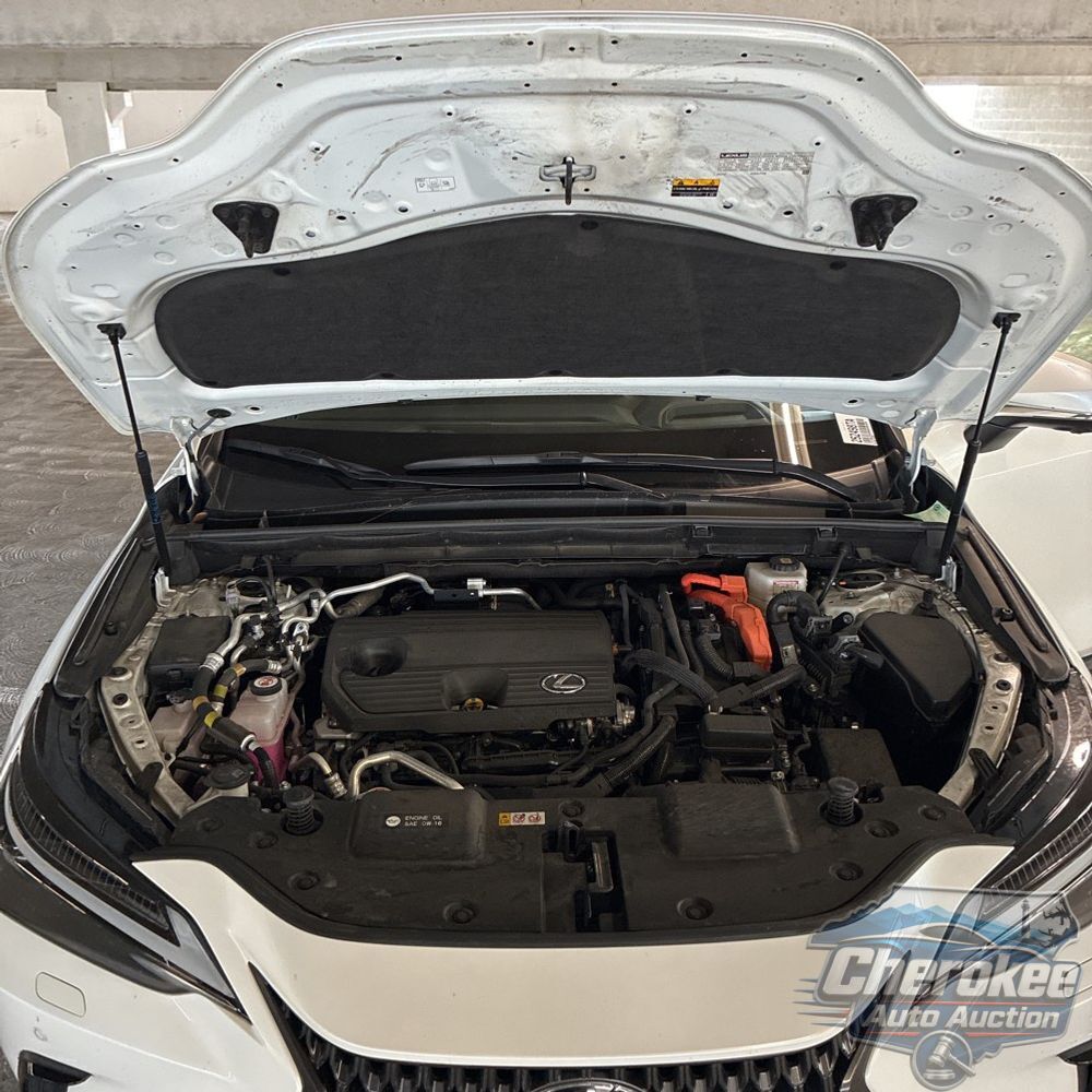 2024 Lexus NX 450h+ Base