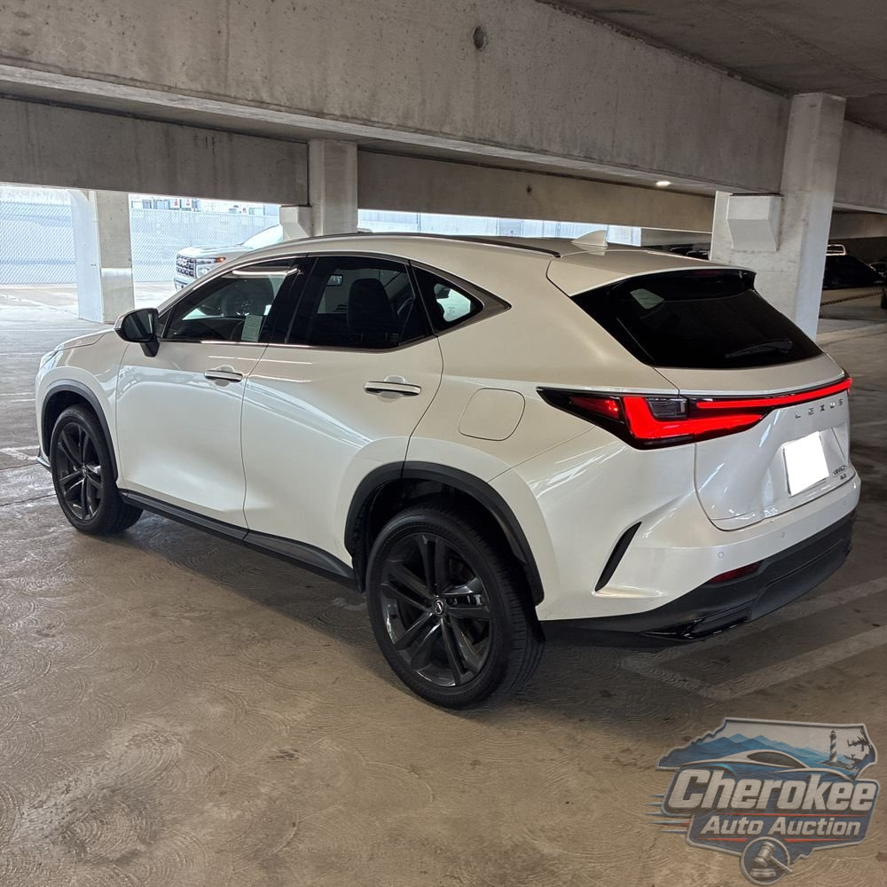 2024 Lexus NX 450h+ Base