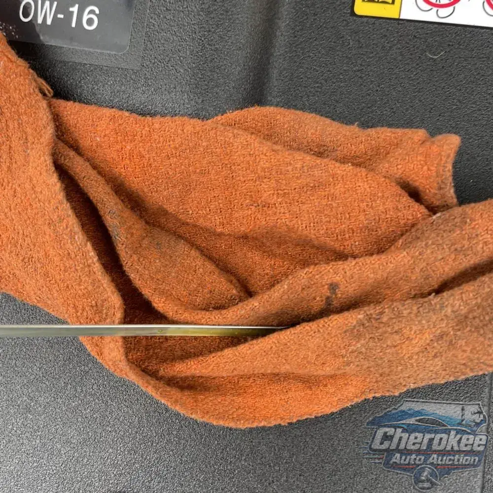 2025 Lexus NX 450h+ F SPORT Handling
