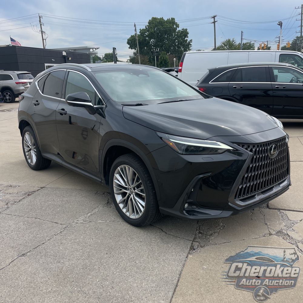 2024 Lexus NX 350h Luxury