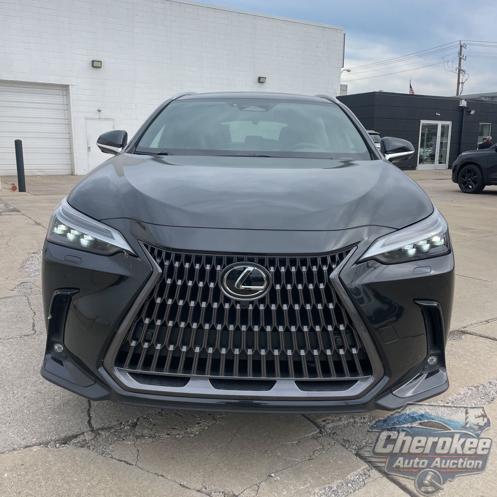 2024 Lexus NX 350h Luxury