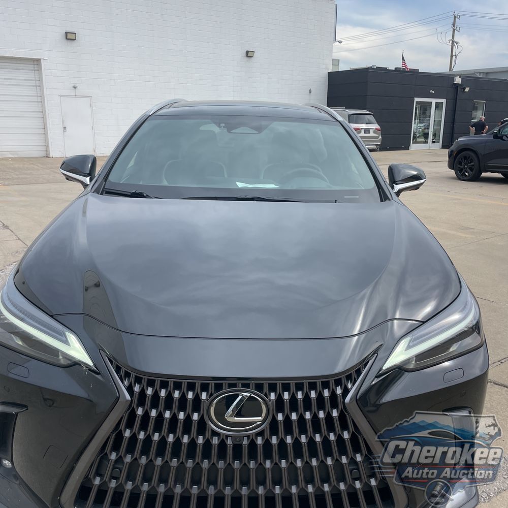 2024 Lexus NX 350h Luxury
