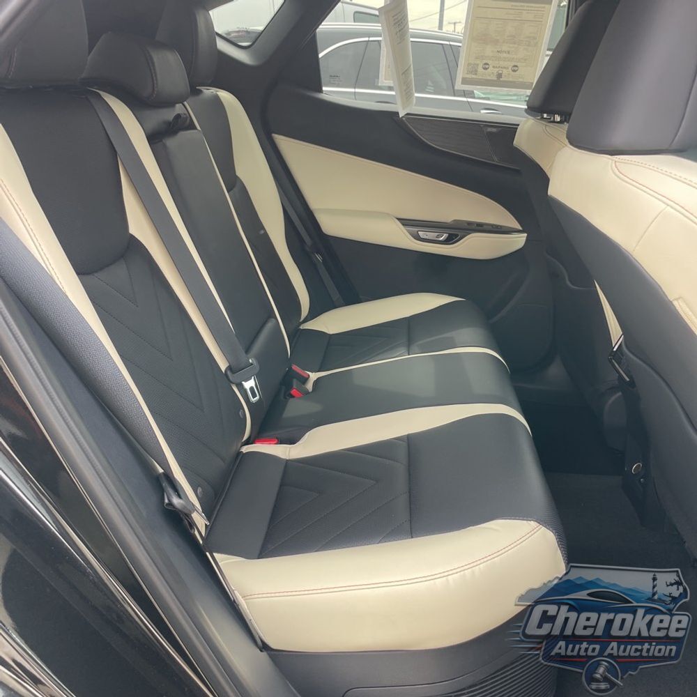 2024 Lexus NX 350h Luxury