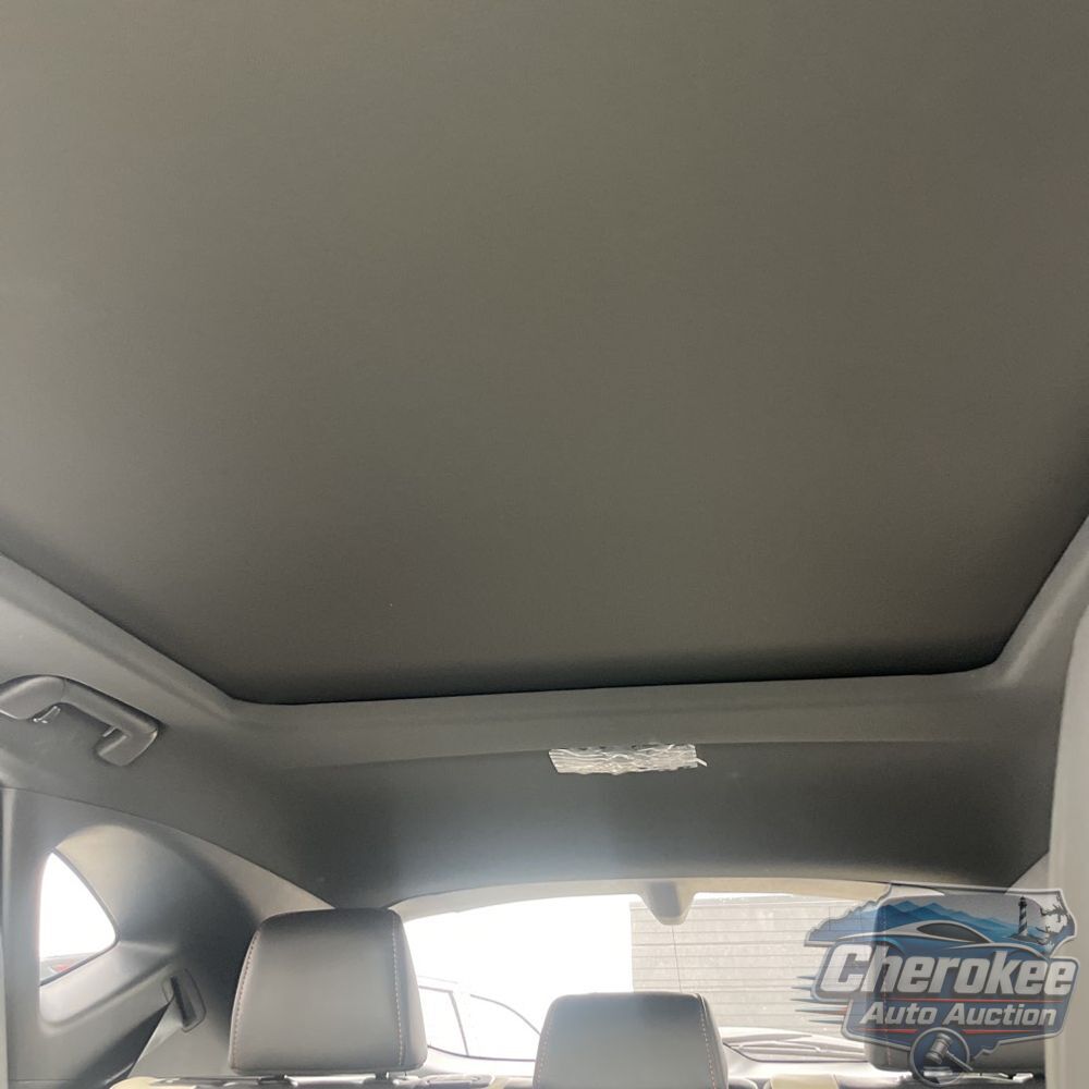 2024 Lexus NX 350h Luxury