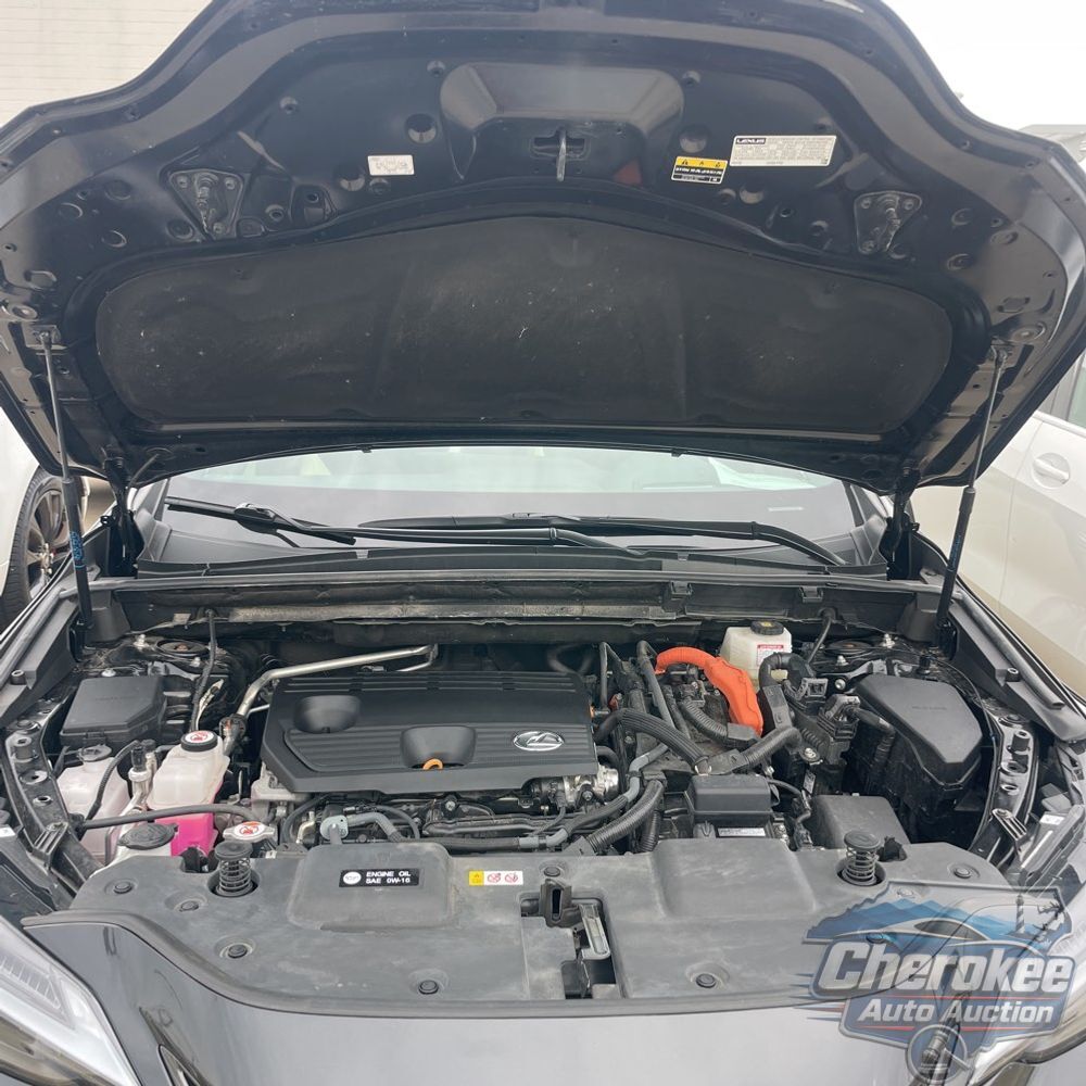 2024 Lexus NX 350h Luxury