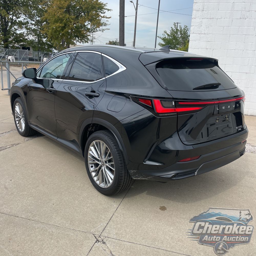 2024 Lexus NX 350h Luxury