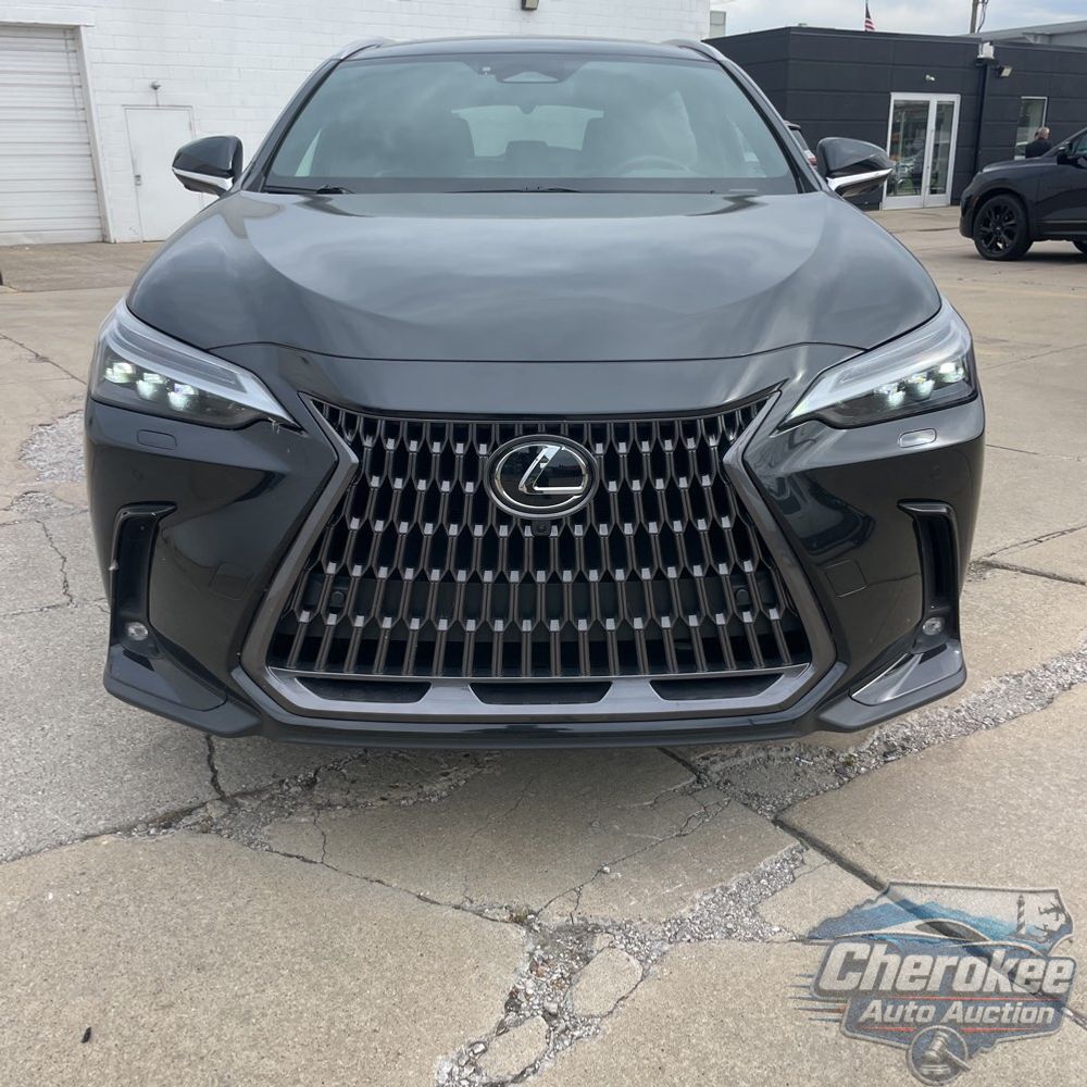 2024 Lexus NX 350h Luxury