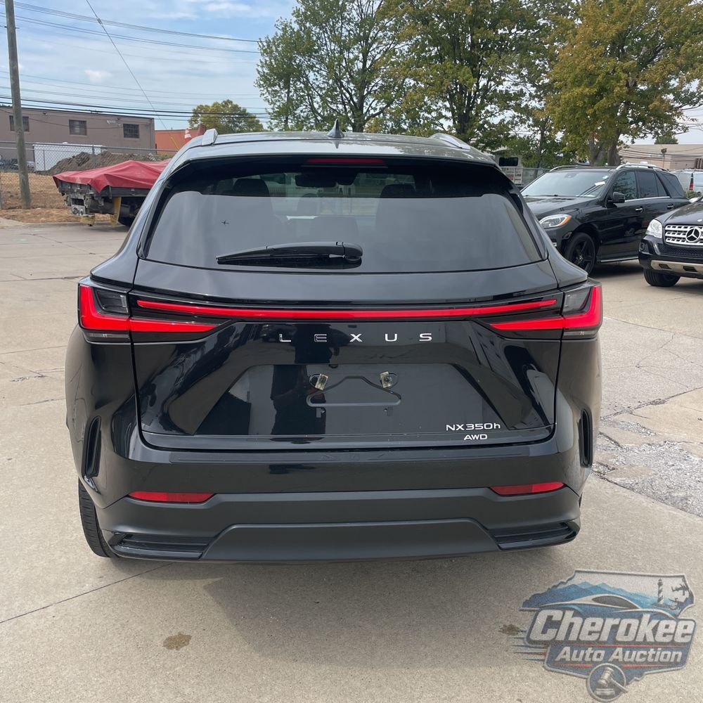 2024 Lexus NX 350h Luxury