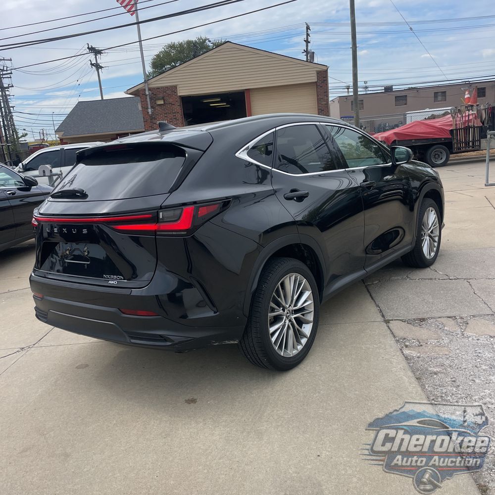 2024 Lexus NX 350h Luxury