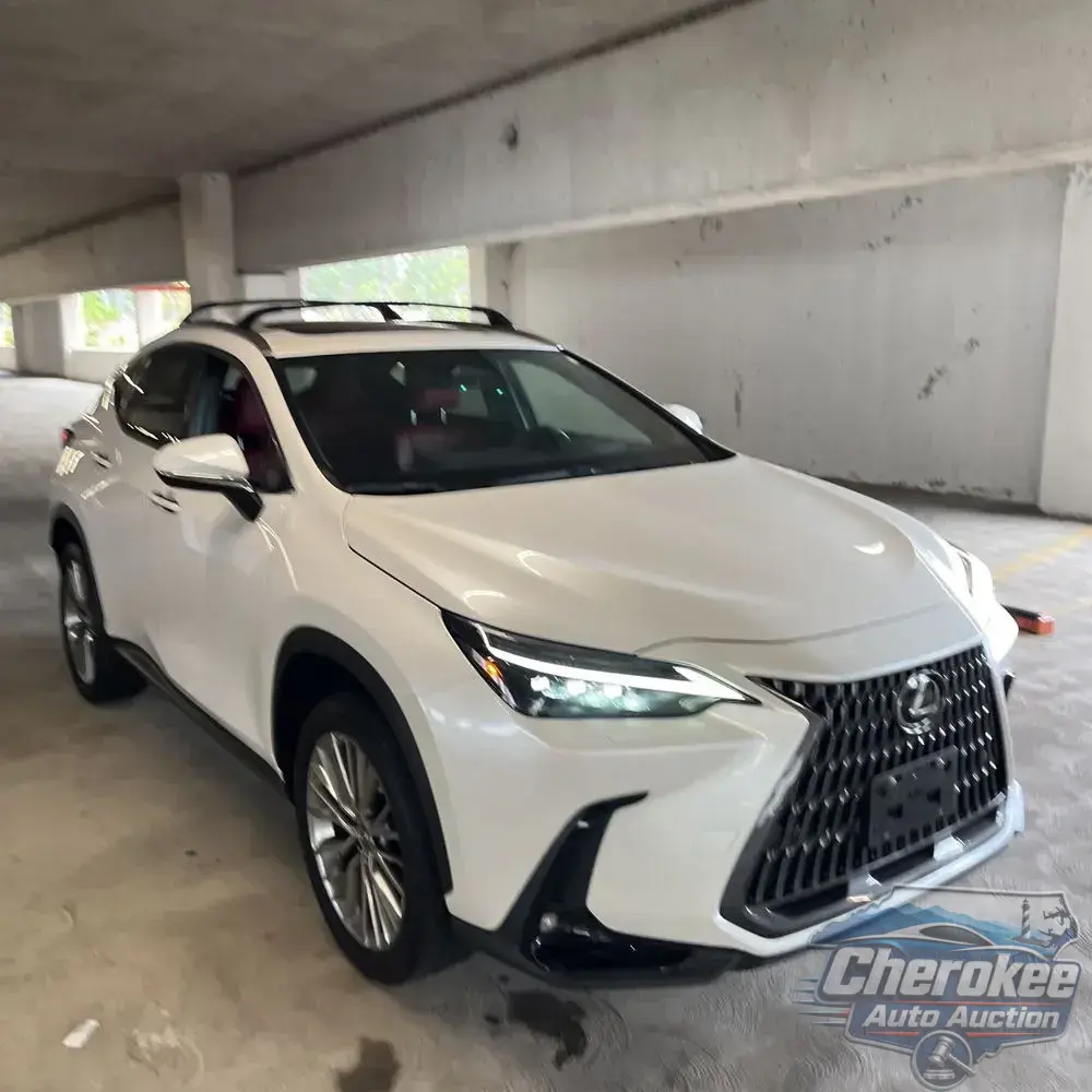 2023 Lexus NX 350h Luxury