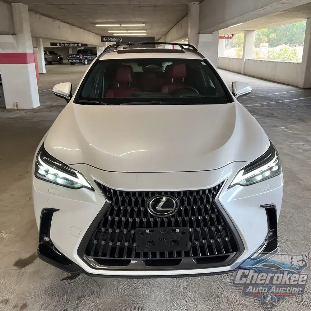 2023 Lexus NX 350h Luxury