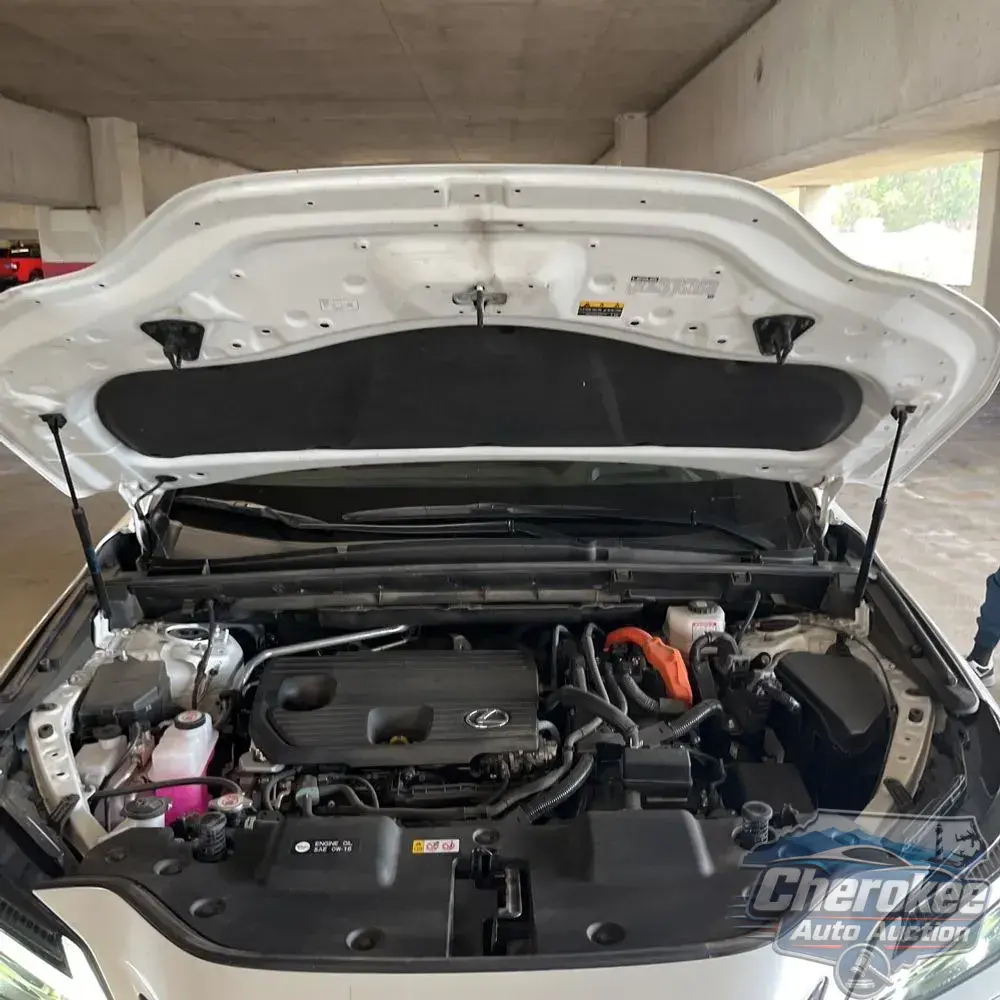 2023 Lexus NX 350h Luxury