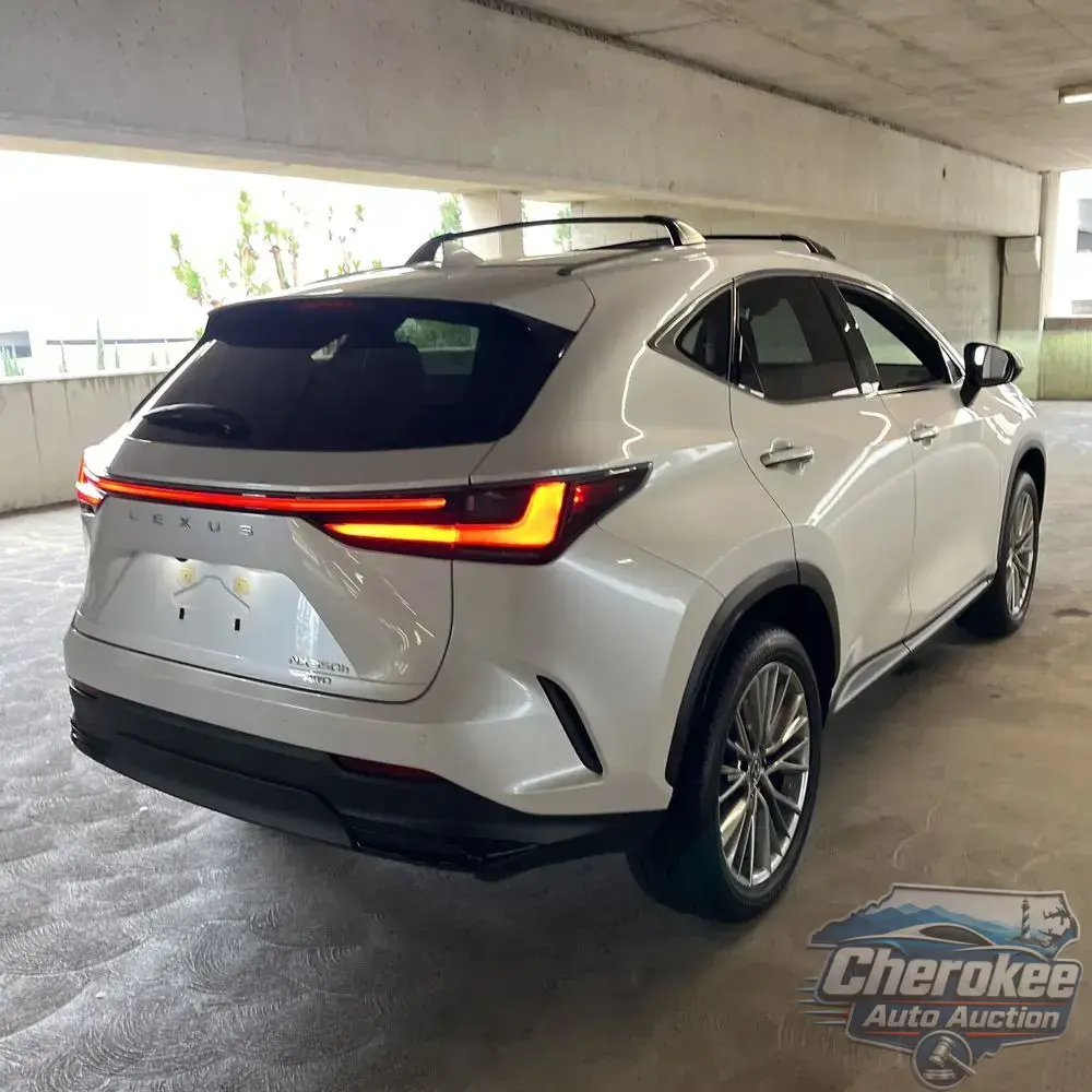 2023 Lexus NX 350h Luxury