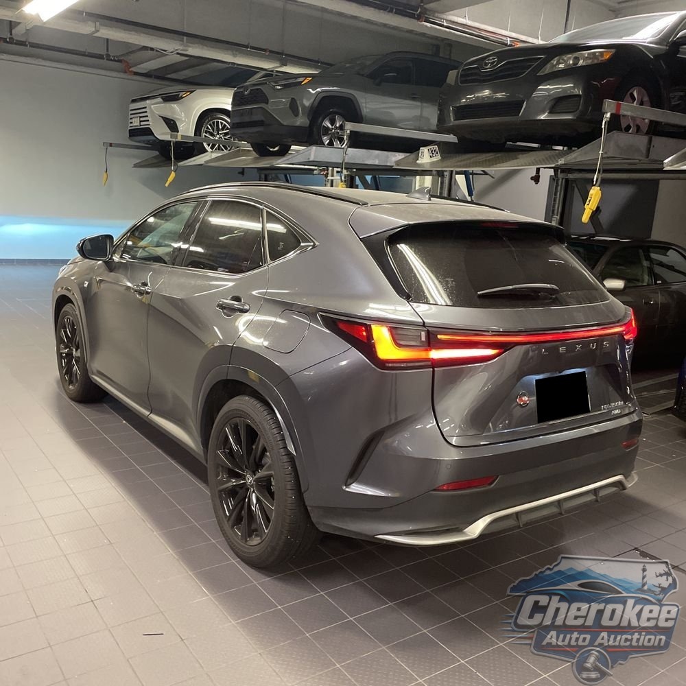 2024 Lexus NX 450h+ F SPORT Handling