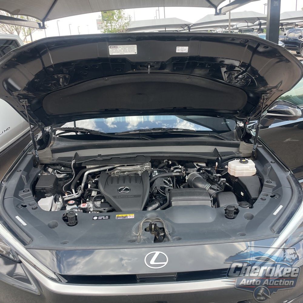 2024 Lexus TX 500h F SPORT Performance Premium