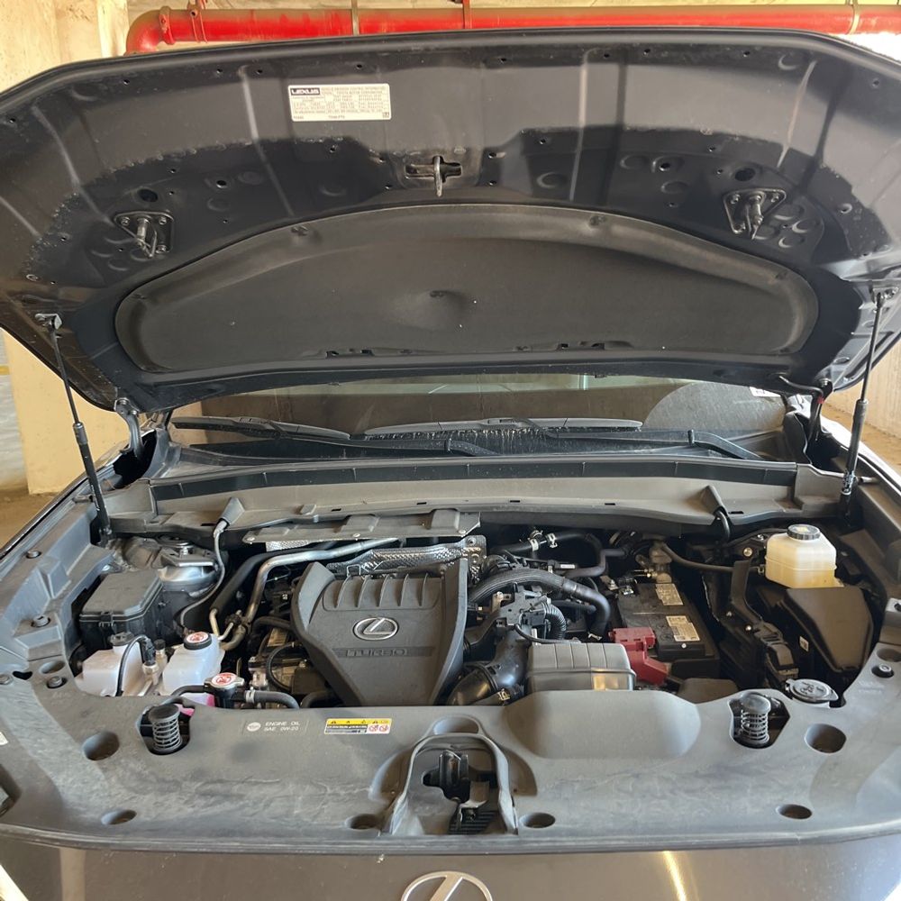 2024 Lexus TX 350 Luxury