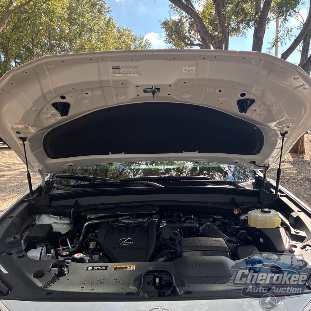 2025 Lexus TX 500h F SPORT Performance Premium