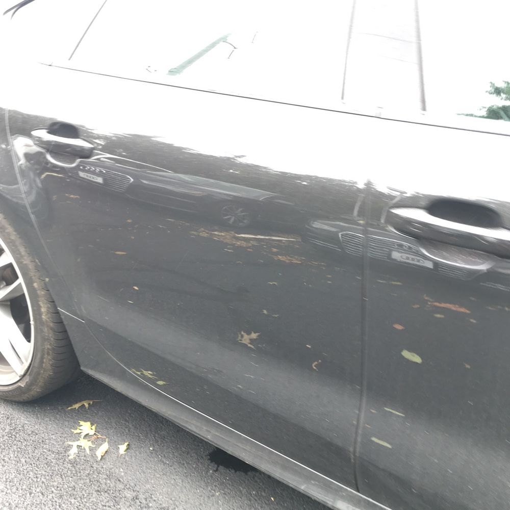2016 Audi S7