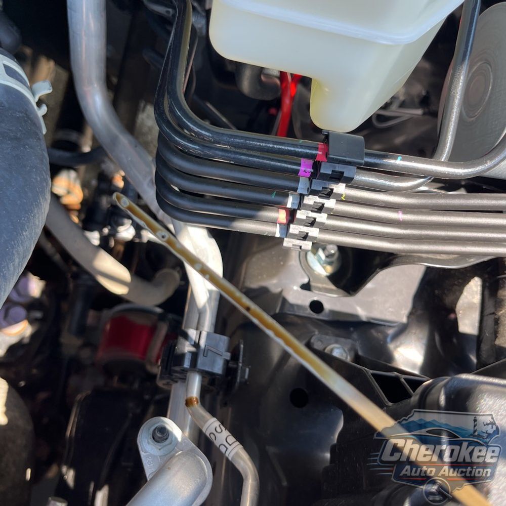 2025 Toyota 4Runner TRD Pro HV