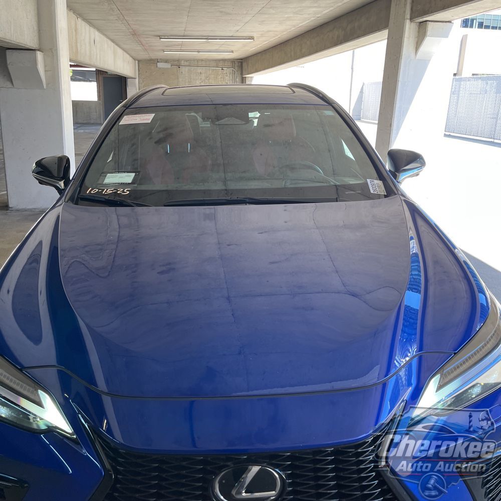 2024 Lexus NX 450h+ F SPORT Handling