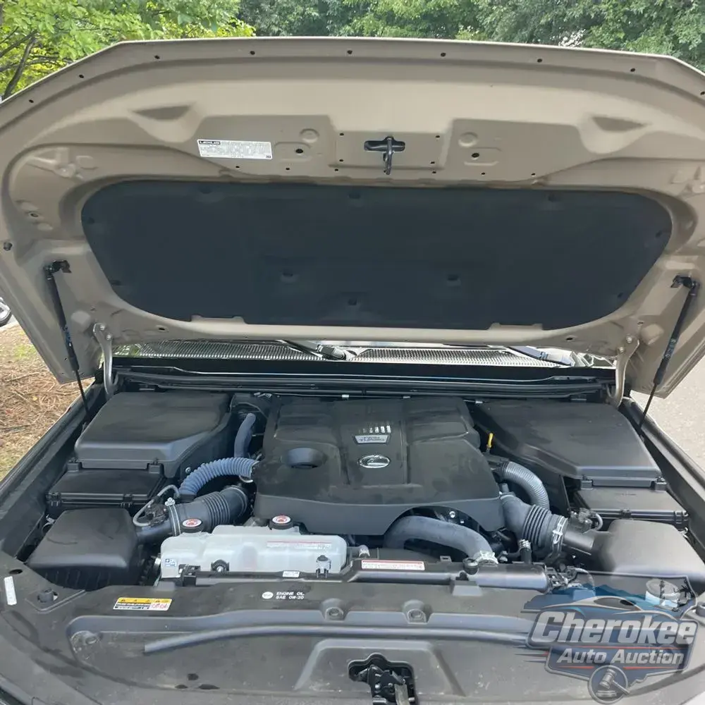 2024 Lexus GX 550 Overtrail+