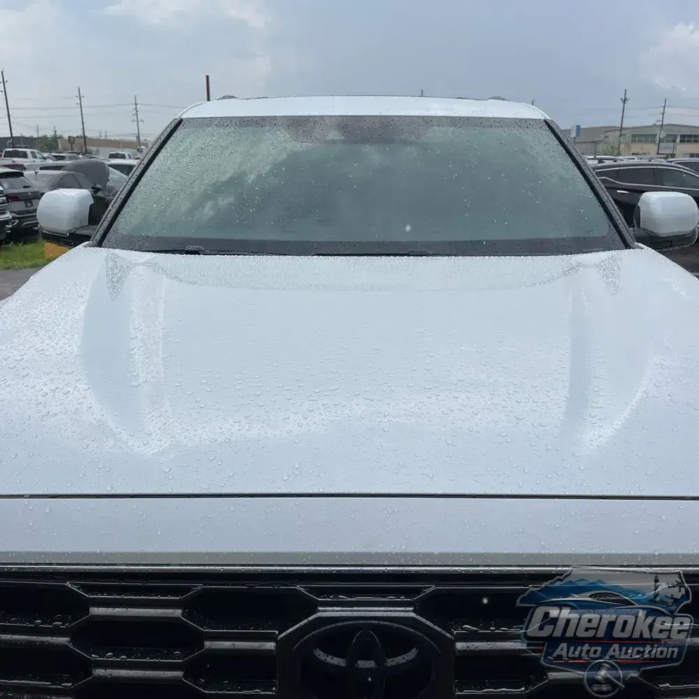 2025 Toyota Sequoia Platinum