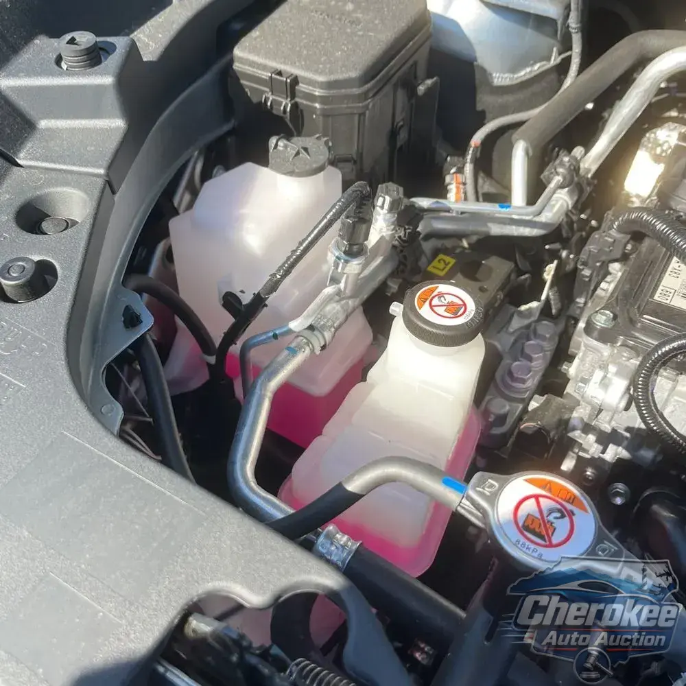 2025 Lexus TX 500h F SPORT Performance Premium