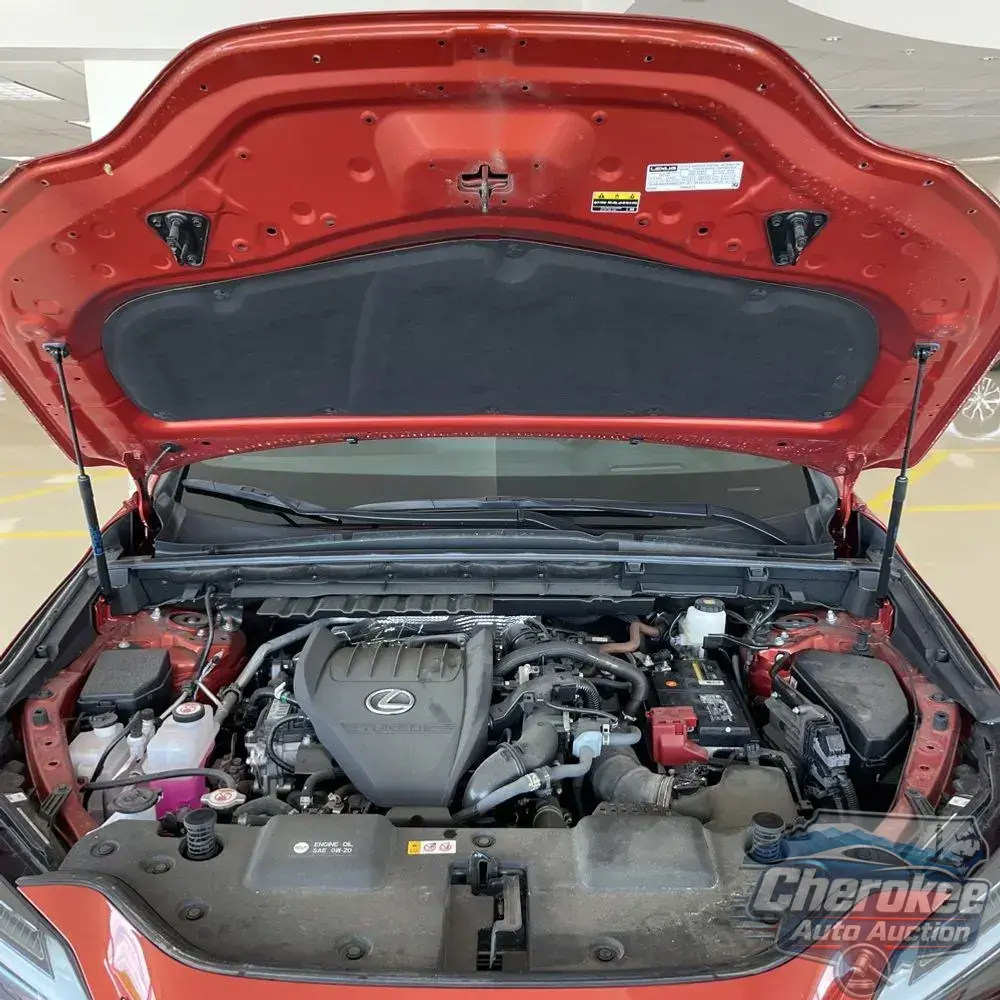 2024 Lexus NX 350 F SPORT Handling