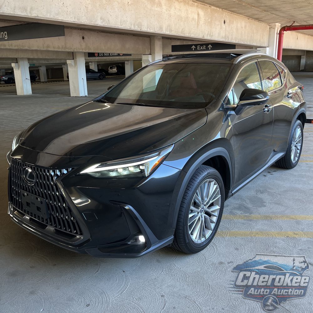 2025 Lexus NX 350 Luxury