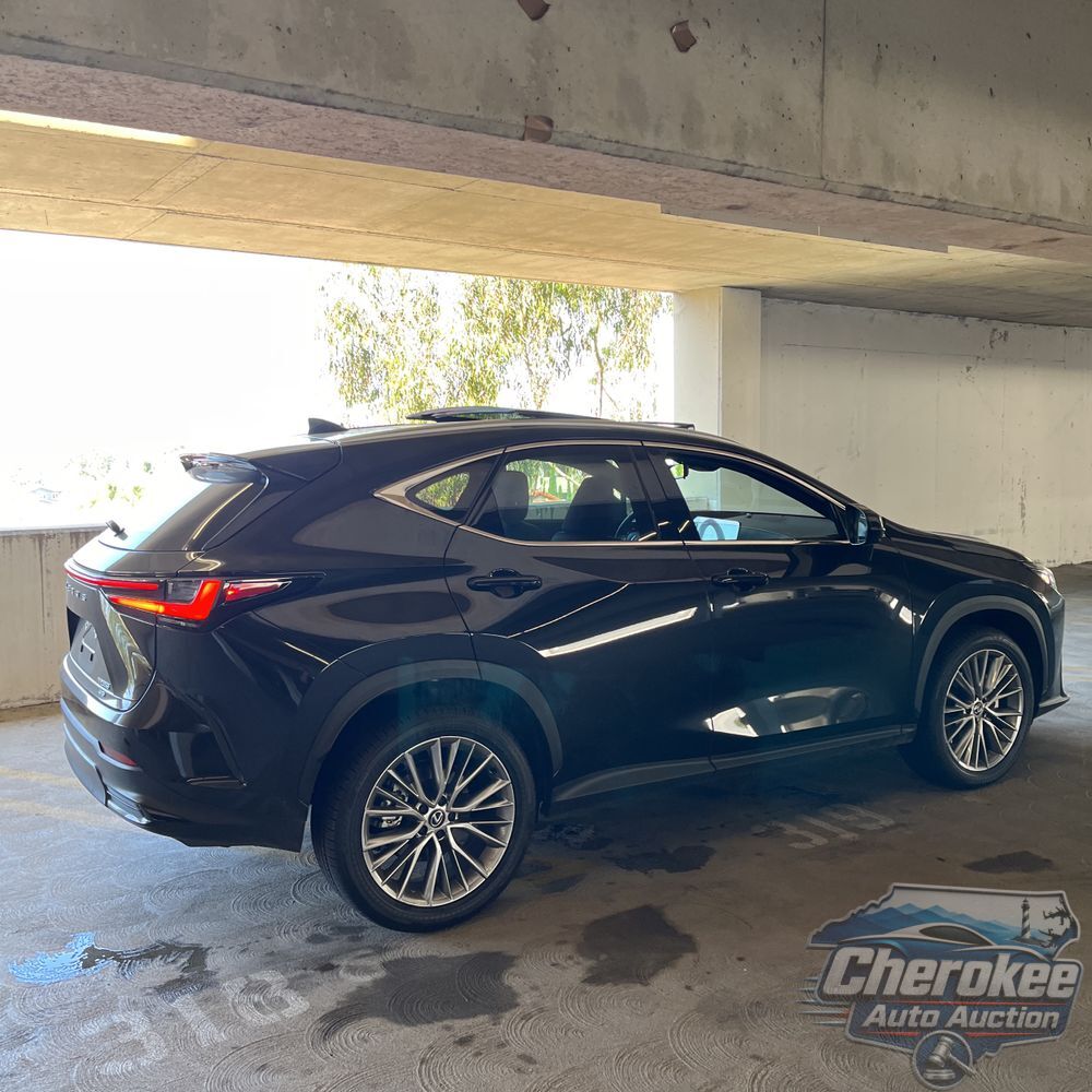 2025 Lexus NX 350 Luxury