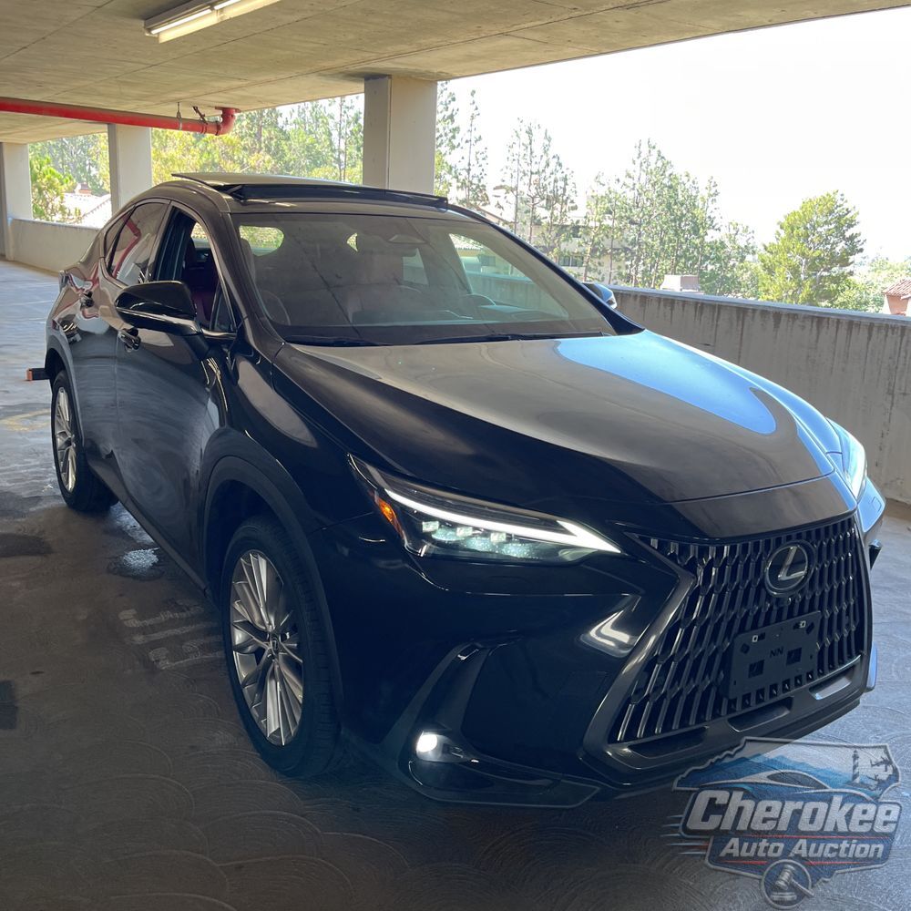 2025 Lexus NX 350 Luxury