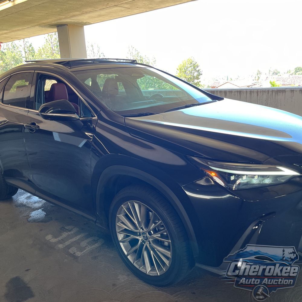 2025 Lexus NX 350 Luxury