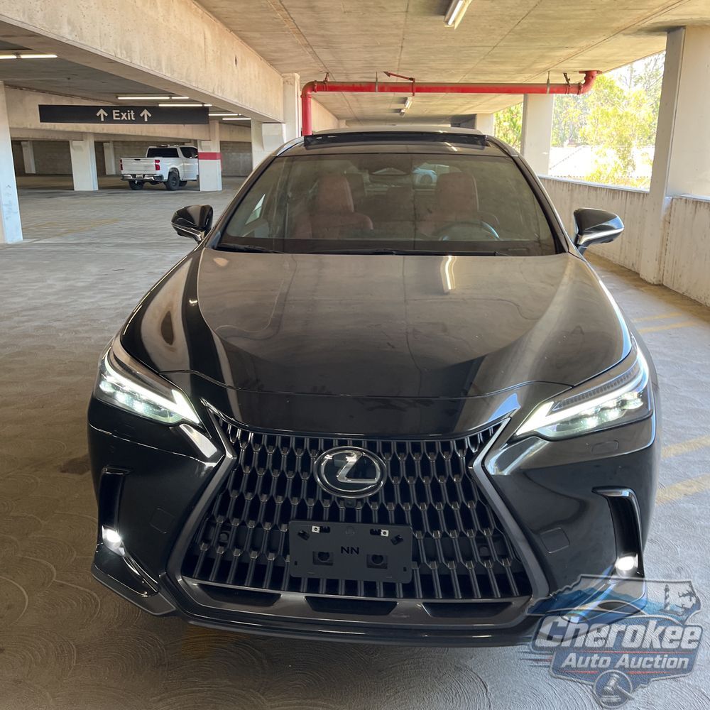 2025 Lexus NX 350 Luxury