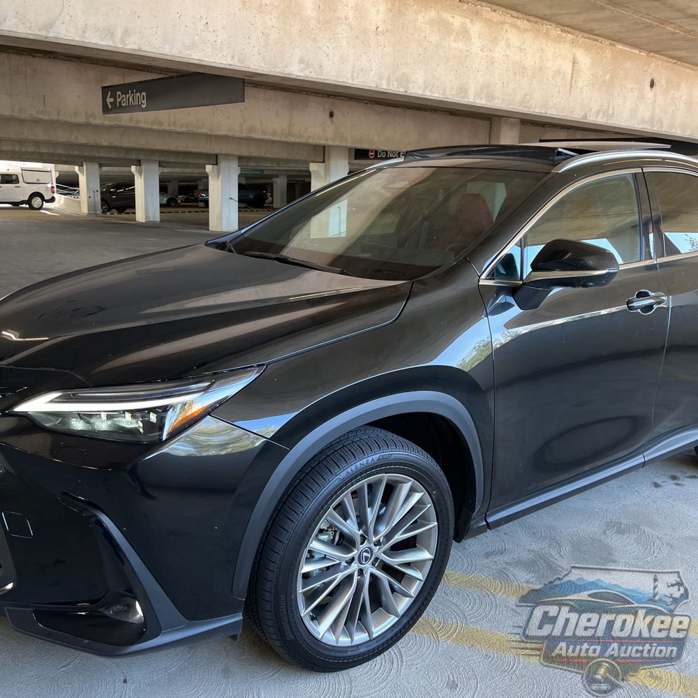 2025 Lexus NX 350 Luxury