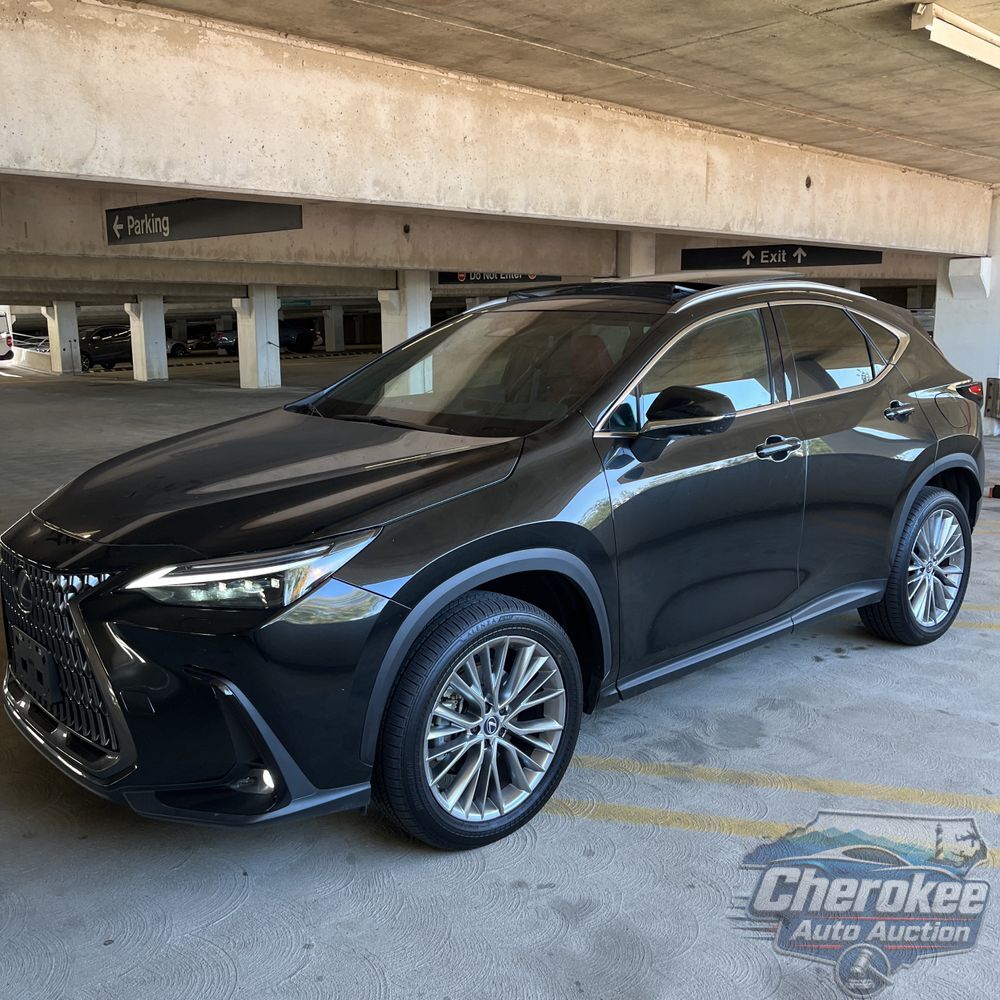 2025 Lexus NX 350 Luxury