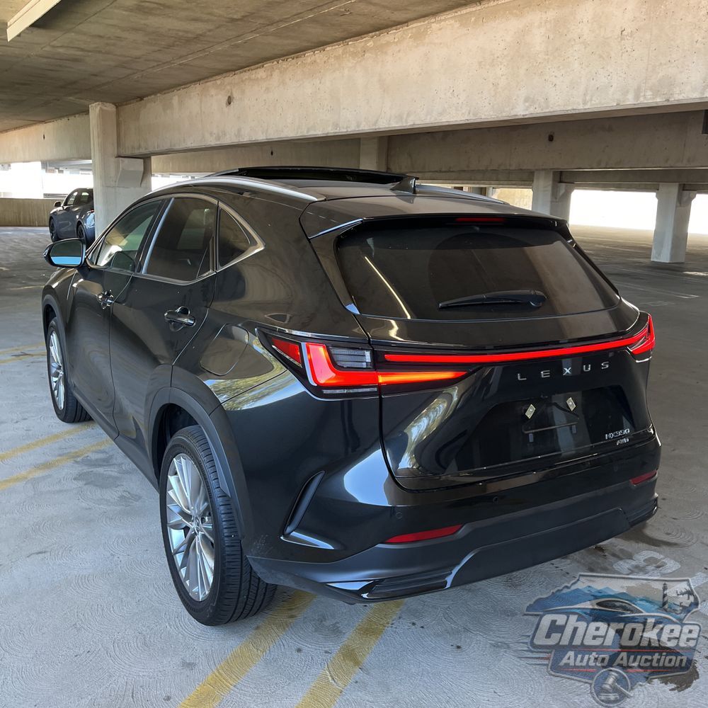 2025 Lexus NX 350 Luxury