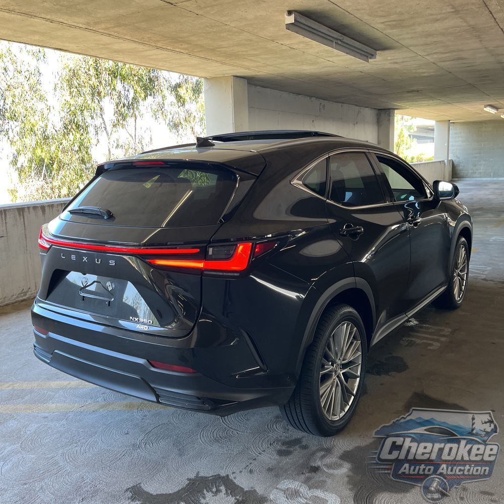 2025 Lexus NX 350 Luxury