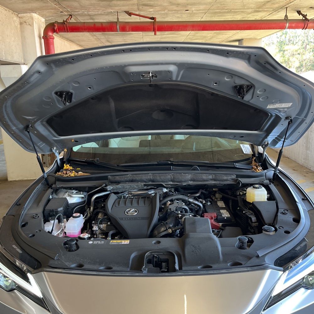 2024 Lexus RX 350 Premium+