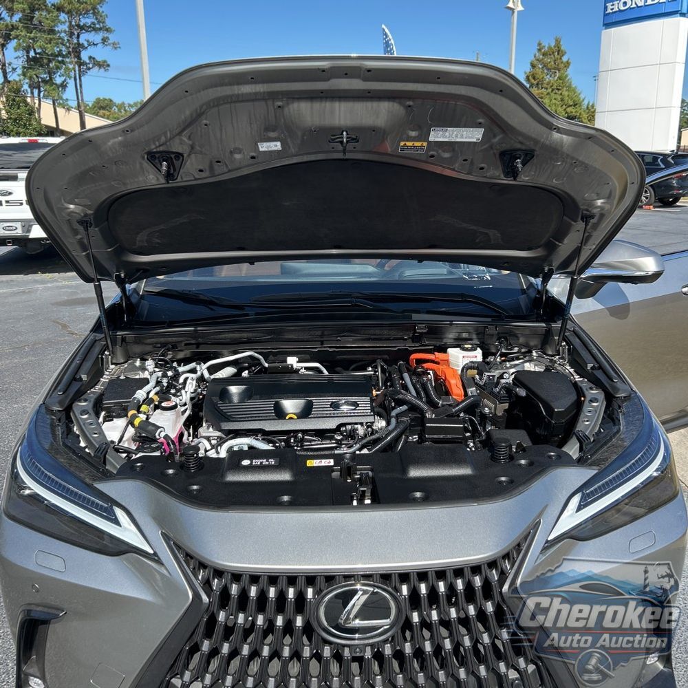 2024 Lexus NX 450h+ Base