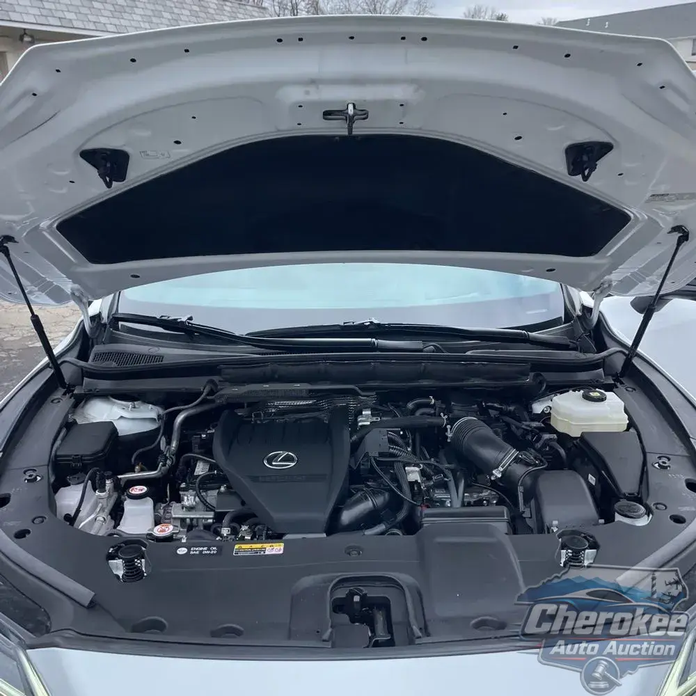 2024 Lexus RX 500h F SPORT Performance