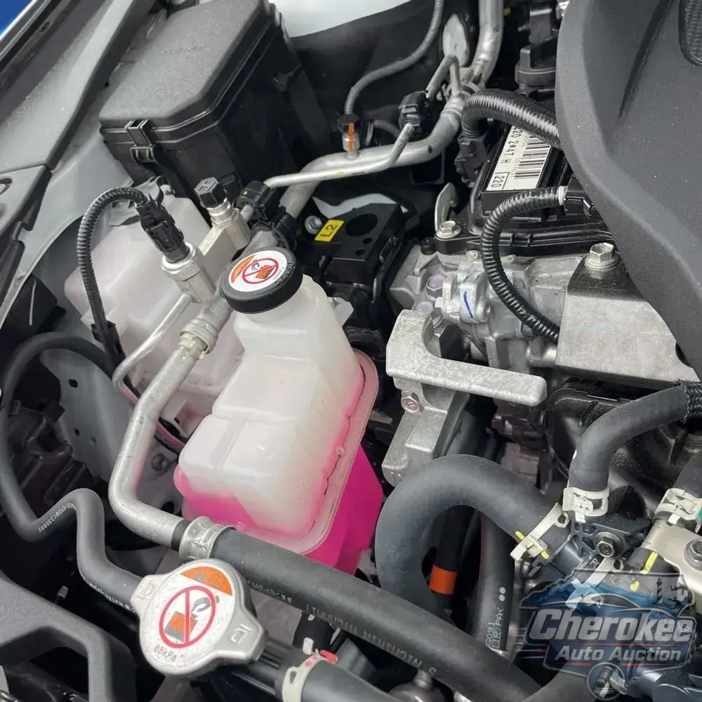 2024 Lexus RX 500h F SPORT Performance