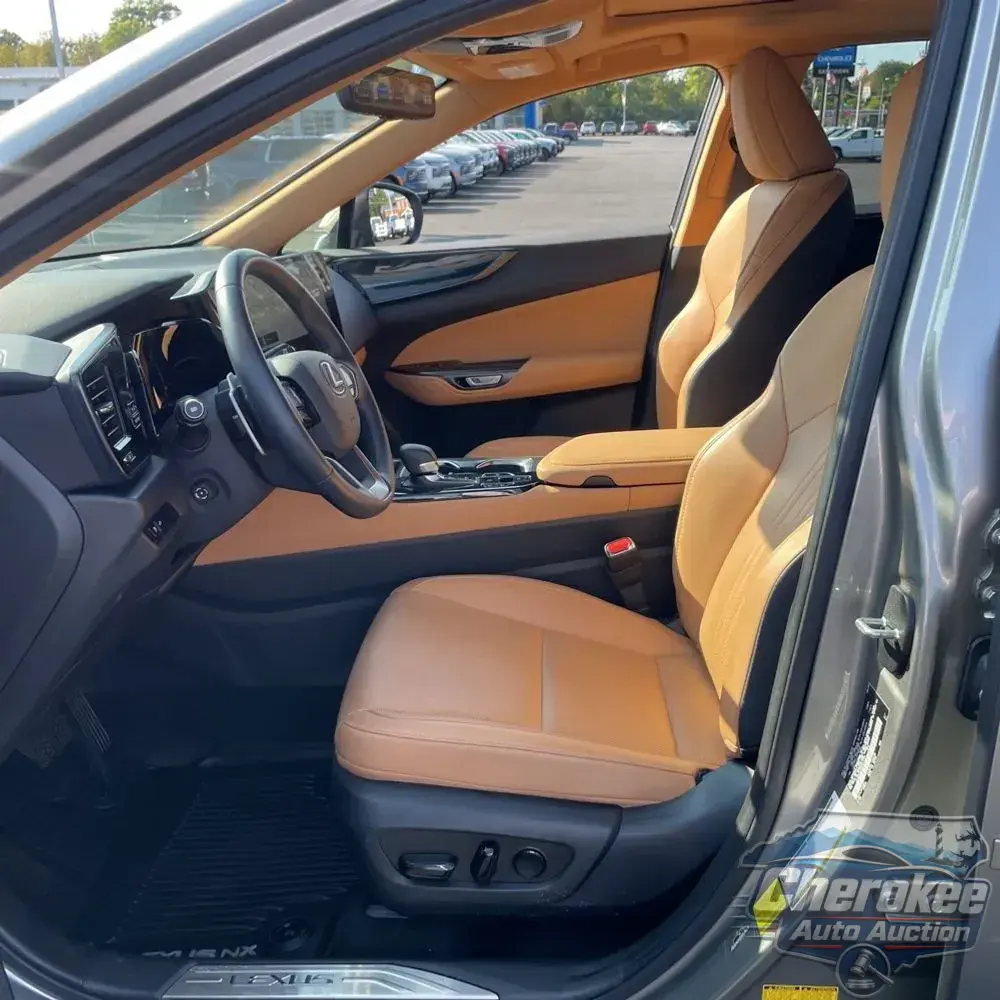 2024 Lexus NX 350h Premium