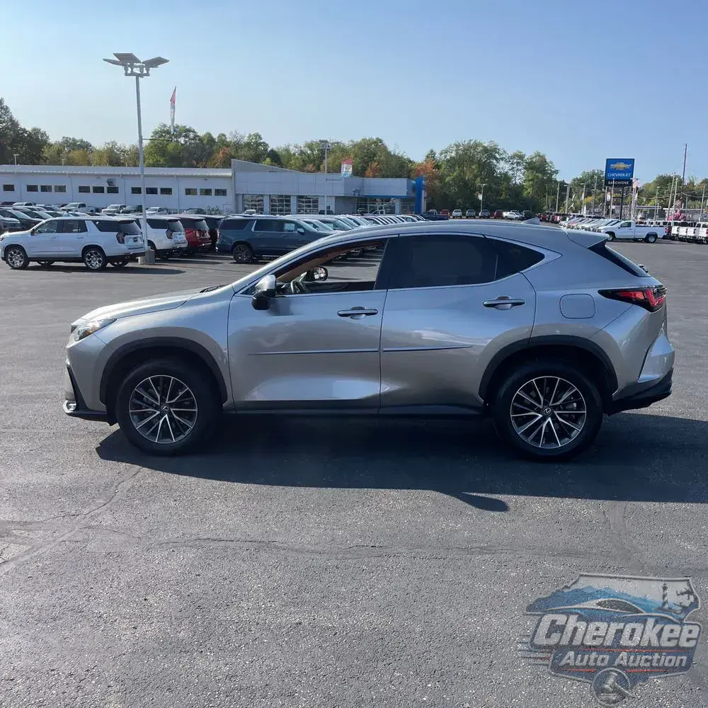 2024 Lexus NX 350h Premium